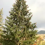 Pidstromom