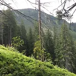 Pidstromom