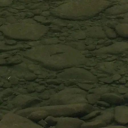 Pidstromom Mykulytschyn