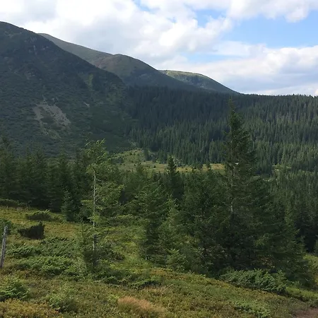 Pidstromom * Mykulytschyn