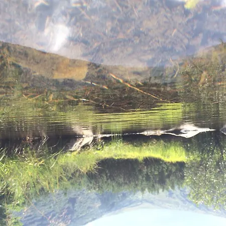 Pidstromom Mykulytschyn