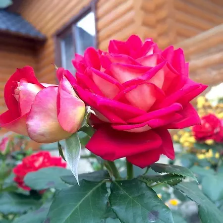 Lodge Pidstromom Mykulytschyn