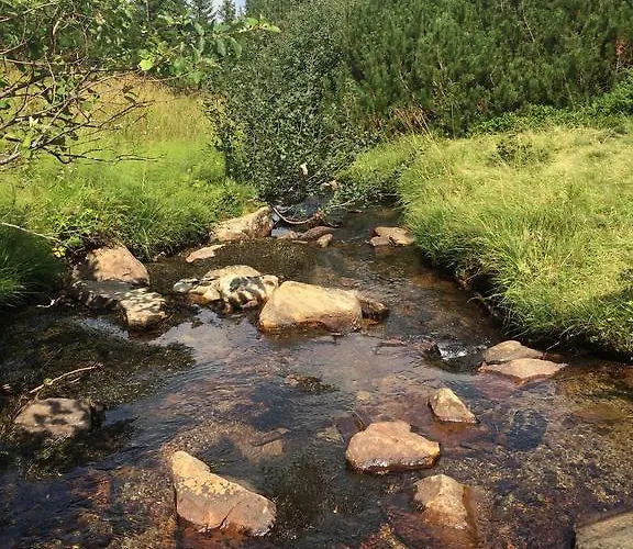 Lodge Pidstromom *